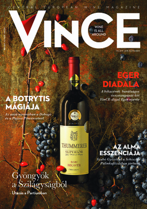Vince magazine cover 2018 nov