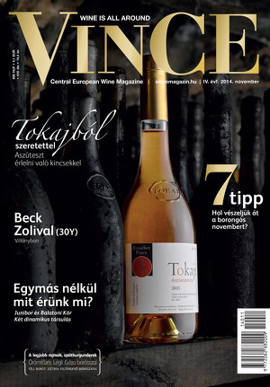 Vince magazine cover 4
