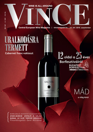 Vince magazine cover 13