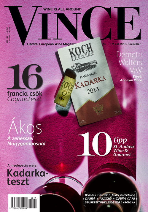 Vince magazine cover 9