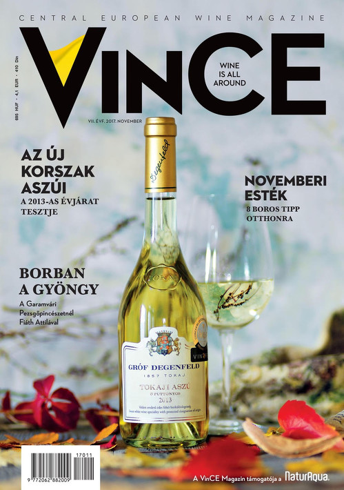 Vince magazine cover 17